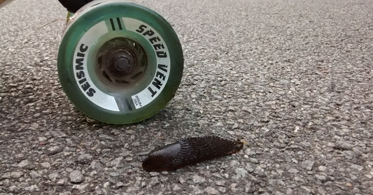 The Great Dutch Revival with Lennart van de Peppel